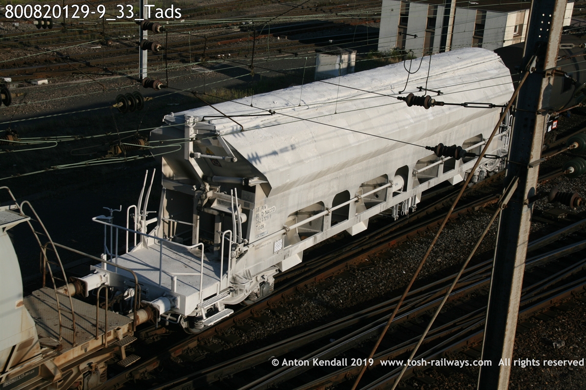 800820129-9_33_Tads.JPG
